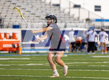 Thumbnail 1 in Manatee @ IMG Academy photogallery.