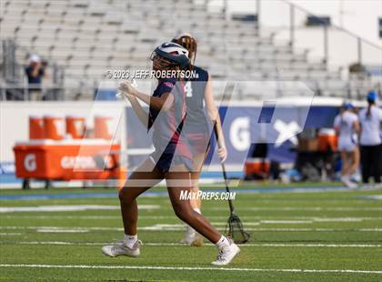 Thumbnail 2 in Manatee @ IMG Academy photogallery.