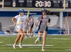 Photo from the gallery "Manatee @ IMG Academy"