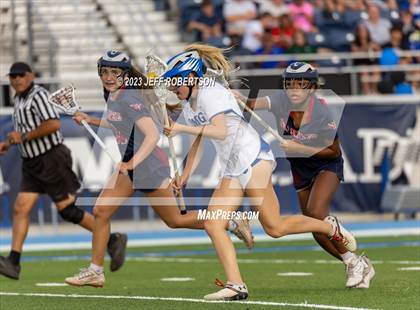 Thumbnail 2 in Manatee @ IMG Academy photogallery.