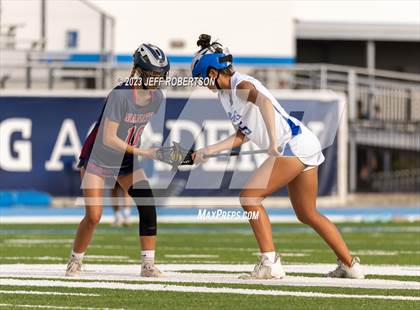 Thumbnail 1 in Manatee @ IMG Academy photogallery.