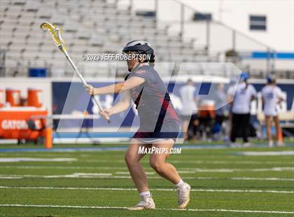 Thumbnail 2 in Manatee @ IMG Academy photogallery.