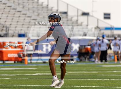 Thumbnail 3 in Manatee @ IMG Academy photogallery.