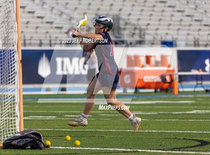 Thumbnail 1 in Manatee @ IMG Academy photogallery.