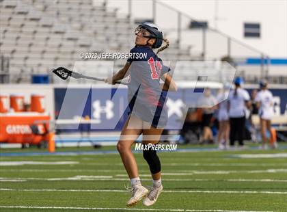 Thumbnail 2 in Manatee @ IMG Academy photogallery.