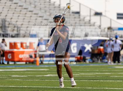 Thumbnail 3 in Manatee @ IMG Academy photogallery.