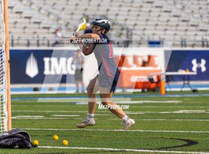 Thumbnail 3 in Manatee @ IMG Academy photogallery.