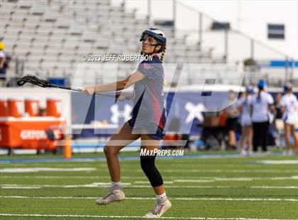 Thumbnail 3 in Manatee @ IMG Academy photogallery.