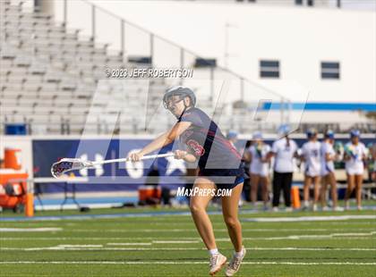 Thumbnail 1 in Manatee @ IMG Academy photogallery.