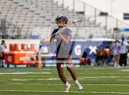 Thumbnail 2 in Manatee @ IMG Academy photogallery.