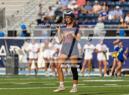 Thumbnail 2 in Manatee @ IMG Academy photogallery.