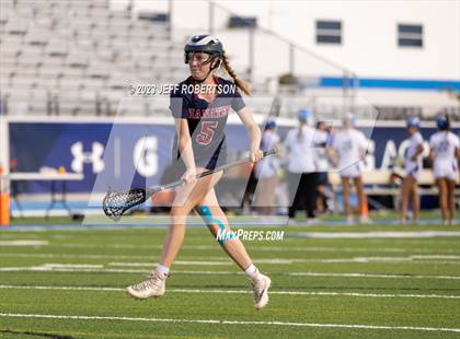 Thumbnail 1 in Manatee @ IMG Academy photogallery.