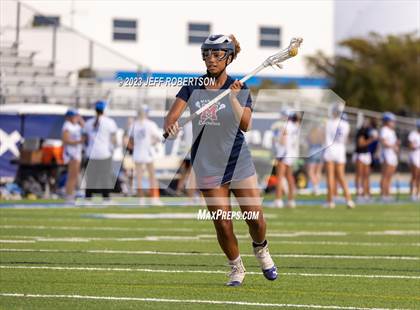 Thumbnail 1 in Manatee @ IMG Academy photogallery.