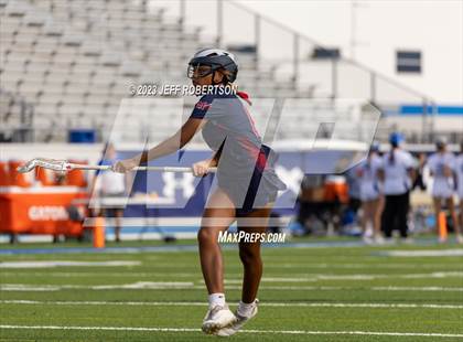 Thumbnail 1 in Manatee @ IMG Academy photogallery.