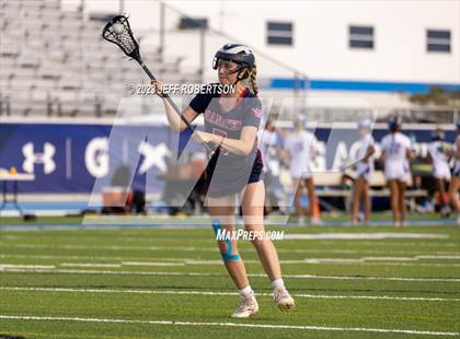 Thumbnail 2 in Manatee @ IMG Academy photogallery.