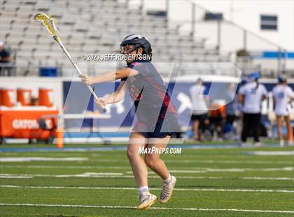 Thumbnail 3 in Manatee @ IMG Academy photogallery.