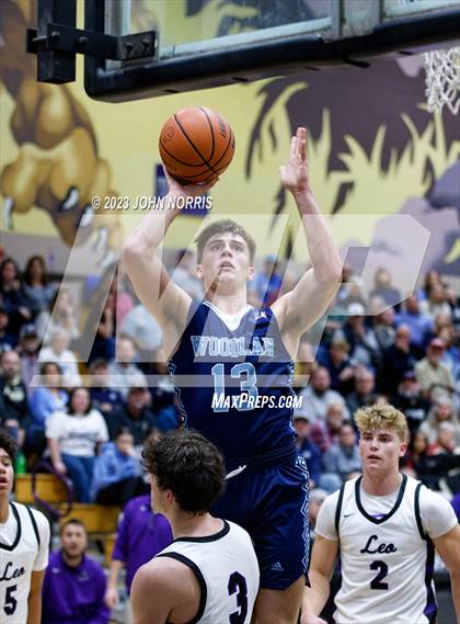 Thumbnail 3 in Woodlan @ Leo photogallery.