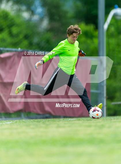 Thumbnail 1 in Dobyns-Bennett vs. Maryville (TSSAA AAA Sectional Final) photogallery.