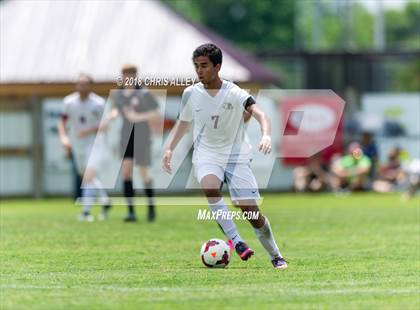 Thumbnail 3 in Dobyns-Bennett vs. Maryville (TSSAA AAA Sectional Final) photogallery.