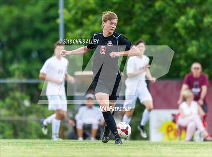 Thumbnail 1 in Dobyns-Bennett vs. Maryville (TSSAA AAA Sectional Final) photogallery.