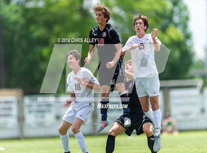 Thumbnail 3 in Dobyns-Bennett vs. Maryville (TSSAA AAA Sectional Final) photogallery.