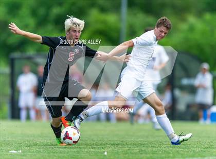 Thumbnail 2 in Dobyns-Bennett vs. Maryville (TSSAA AAA Sectional Final) photogallery.