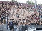 Photo from the gallery "Del Norte @ Point Loma"