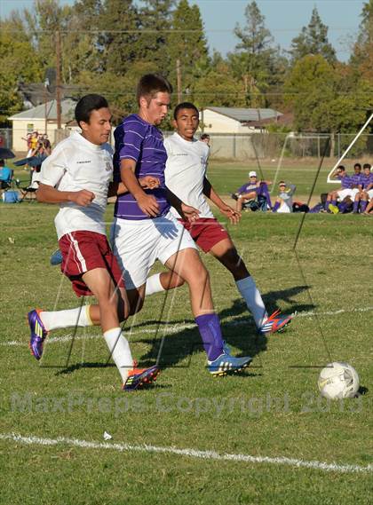 Thumbnail 3 in Bradshaw Christian @ Encina Prep photogallery.