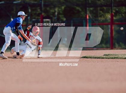 Thumbnail 1 in Westerville South vs Worthington Kilborne photogallery.