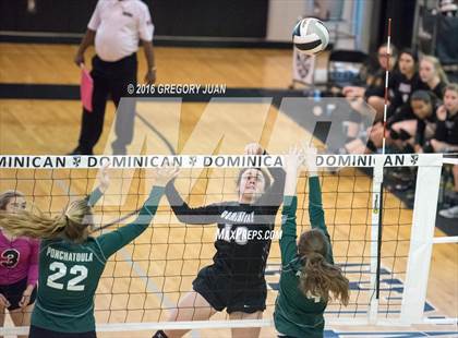 Thumbnail 2 in Ponchatoula @ St. Mary's Dominican (LHSAA Division I 1st Round) photogallery.