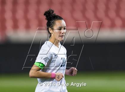 Thumbnail 1 in Timpanogos vs Skyline (UHSAA 4A Final) photogallery.