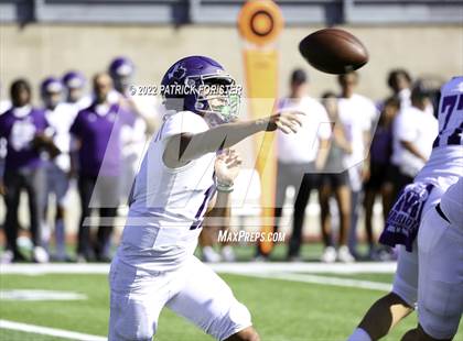 Thumbnail 1 in Warren @ Sotomayor photogallery.