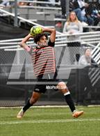 Photo from the gallery "Bernalillo @ Taos"