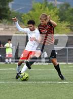 Photo from the gallery "Bernalillo @ Taos"