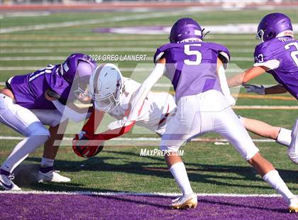 Thumbnail 3 in Montgomery @ Petaluma photogallery.
