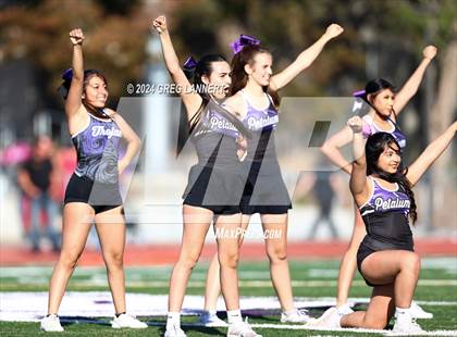 Thumbnail 3 in Montgomery @ Petaluma photogallery.