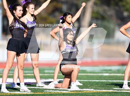 Thumbnail 2 in Montgomery @ Petaluma photogallery.