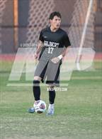Photo from the gallery "Dobson vs Gilbert (AIA 6A Round 1)"
