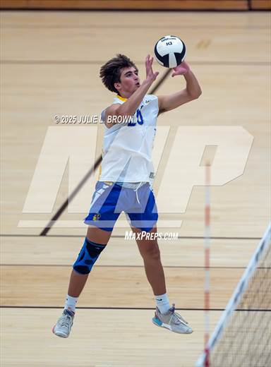 null - Photo 11