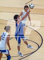 Photo from the gallery "Carroll vs. Homestead (IHSAA Peru Regional)"