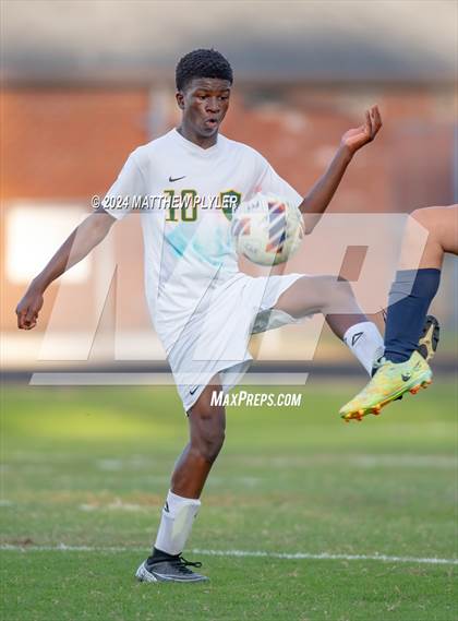 Thumbnail 3 in Pine Forest @ Terry Sanford photogallery.