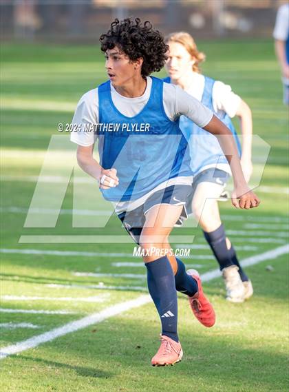 Thumbnail 1 in Pine Forest @ Terry Sanford photogallery.