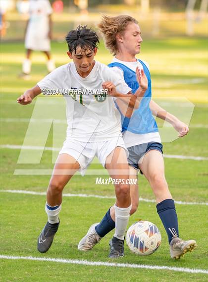 Thumbnail 1 in Pine Forest @ Terry Sanford photogallery.