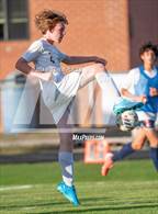 Photo from the gallery "Pine Forest @ Terry Sanford"