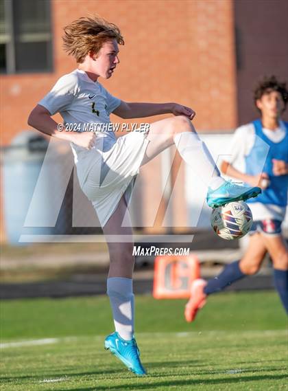 Thumbnail 2 in Pine Forest @ Terry Sanford photogallery.