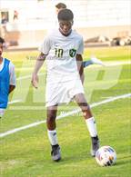 Photo from the gallery "Pine Forest @ Terry Sanford"