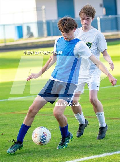 Thumbnail 3 in Pine Forest @ Terry Sanford photogallery.