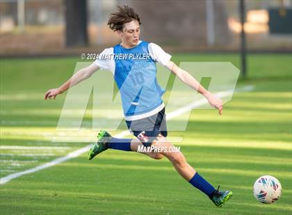 Thumbnail 1 in Pine Forest @ Terry Sanford photogallery.