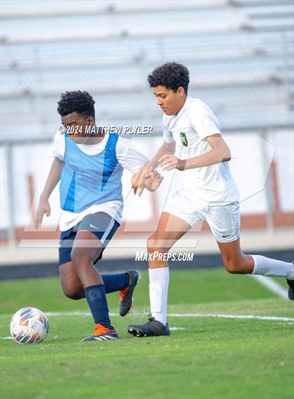 Thumbnail 1 in Pine Forest @ Terry Sanford photogallery.