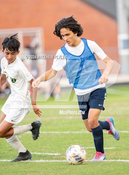 Thumbnail 1 in Pine Forest @ Terry Sanford photogallery.